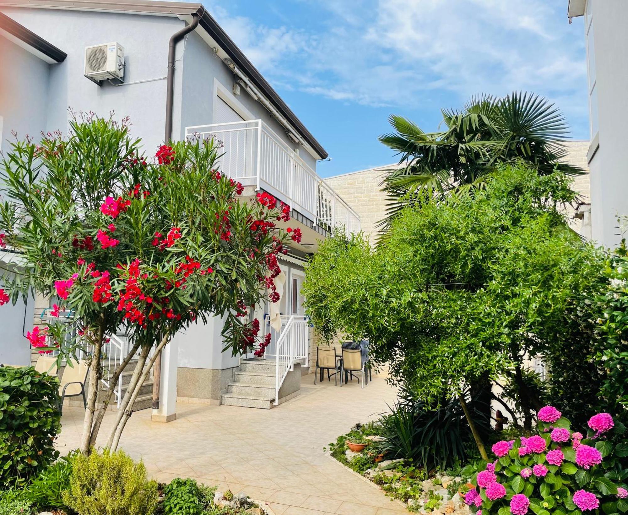 Apartment Olea