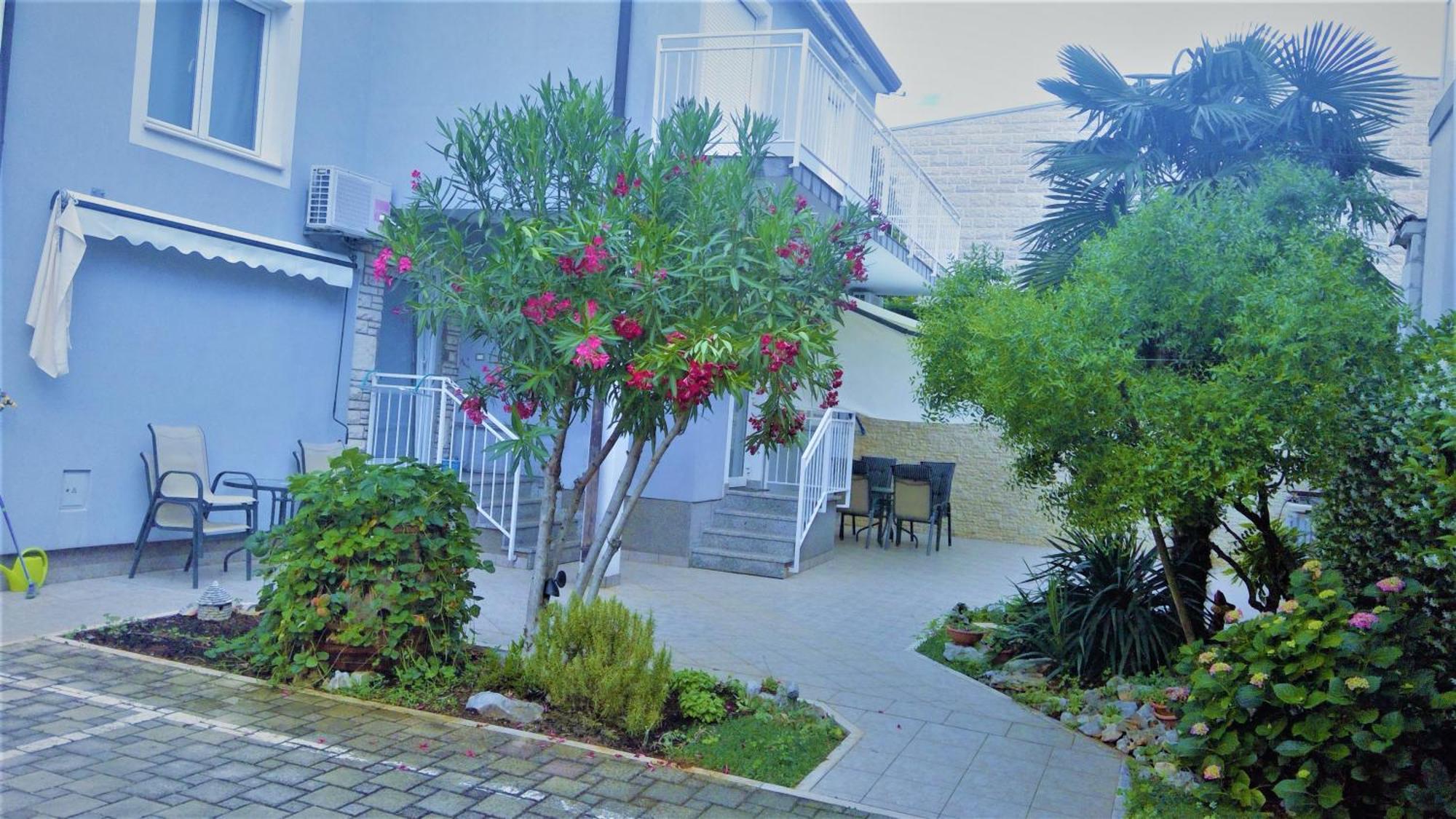 Apartment Olea