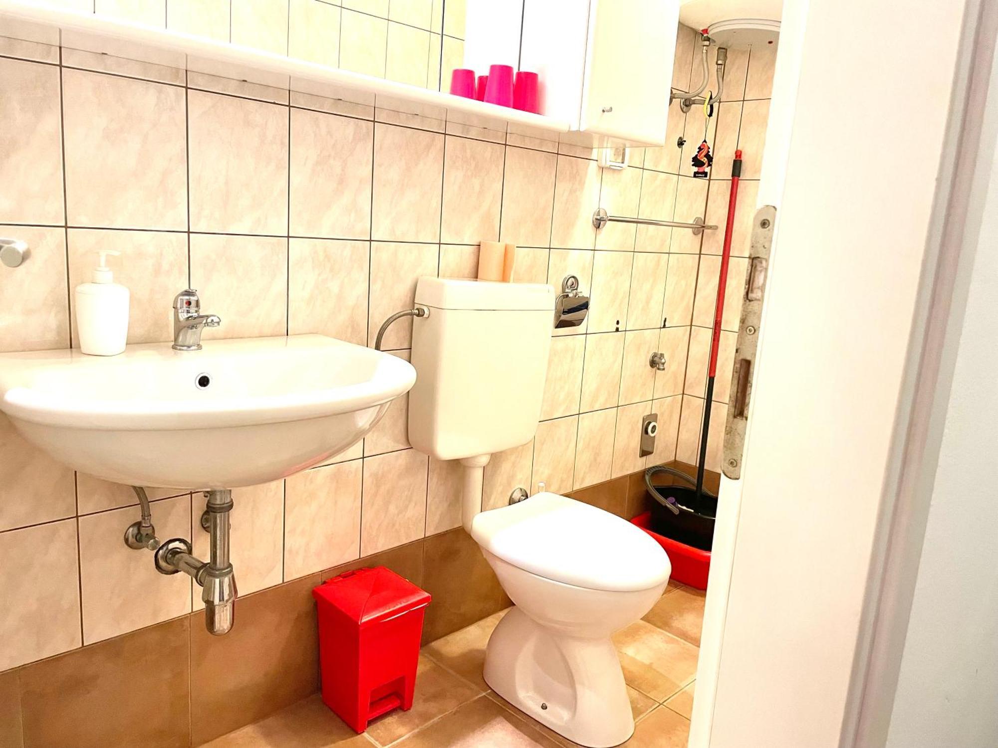 Apartment Olea Umag