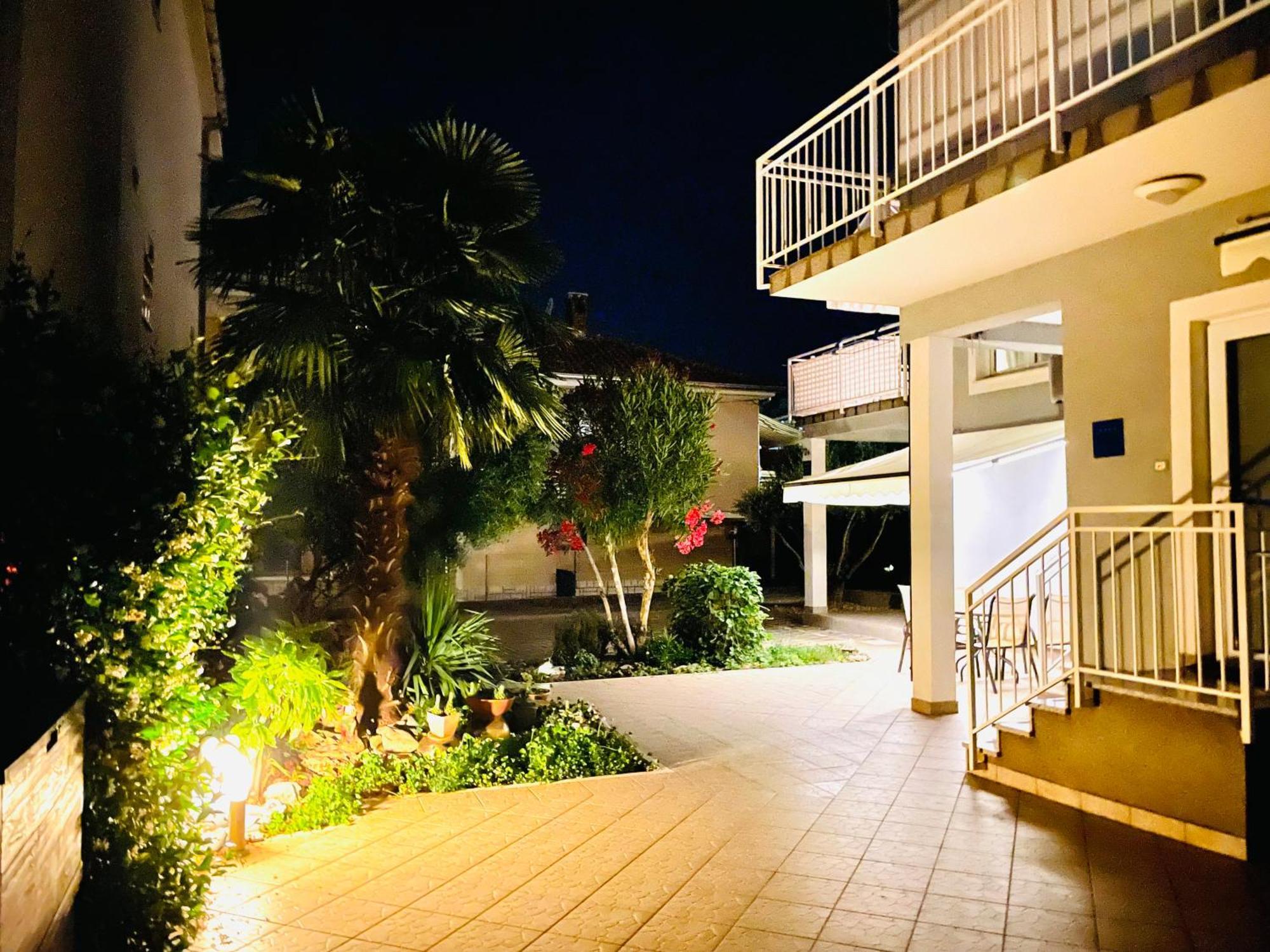 Olea * Umag