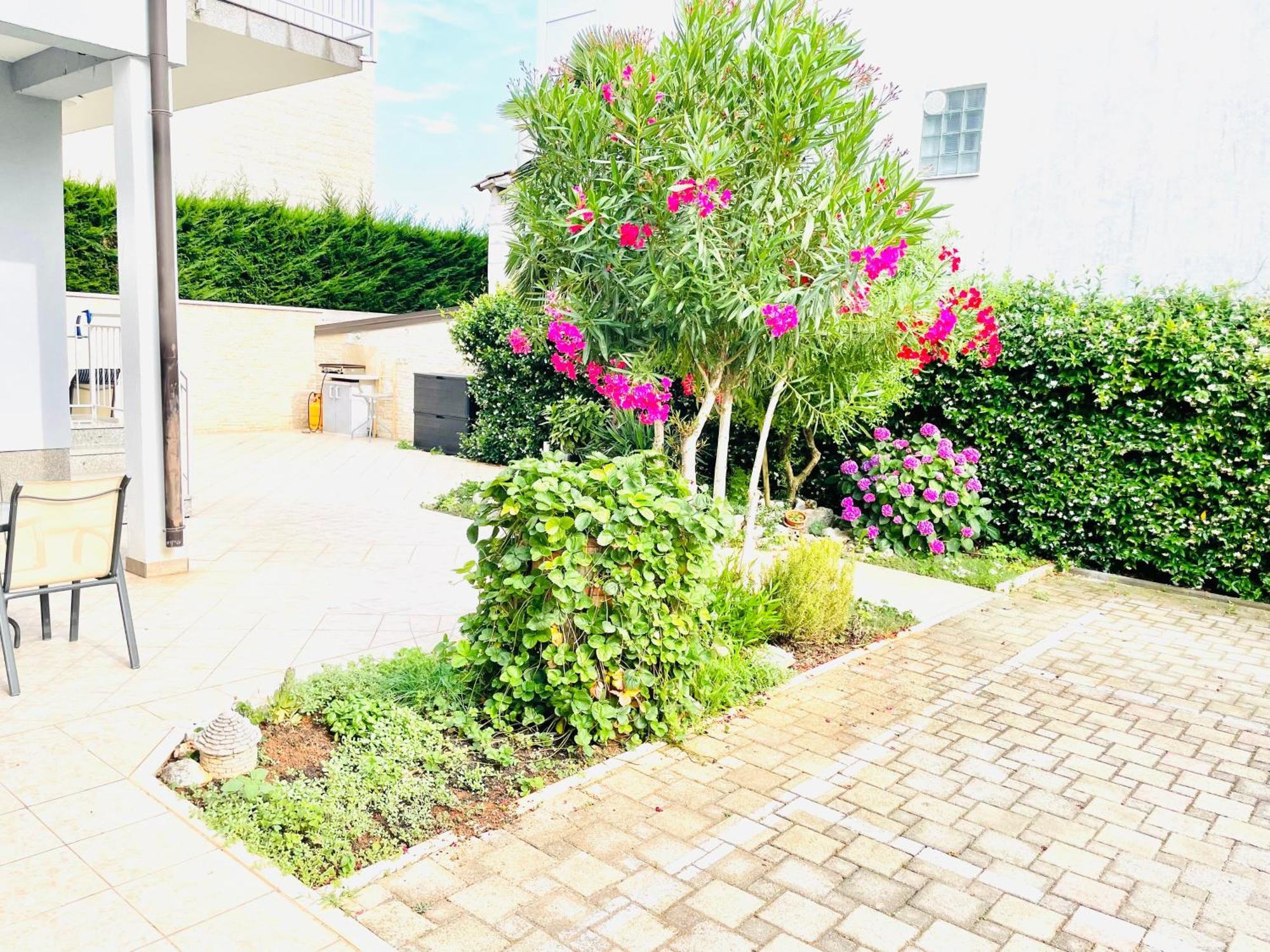 Olea Apartment