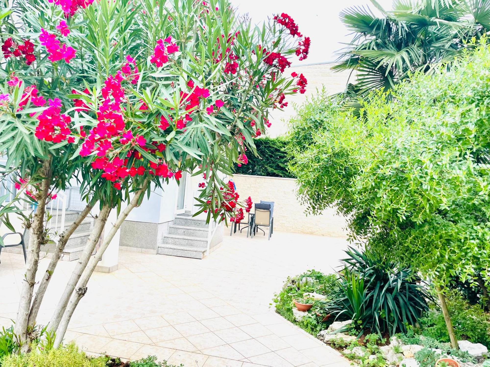 Apartment Olea Umag